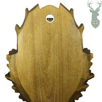 Podložka pod trofej - Srnec 6