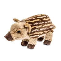 Divočák plyšový proužkovaný