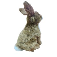 Zajíc plyšové zvíře